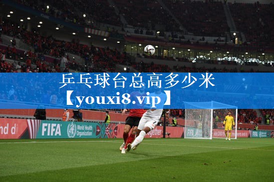 乒乓球台总高多少米