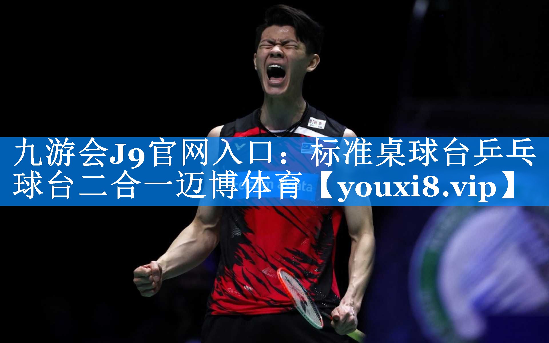 九游会J9官网入口：标准桌球台乒乓球台二合一迈博体育
