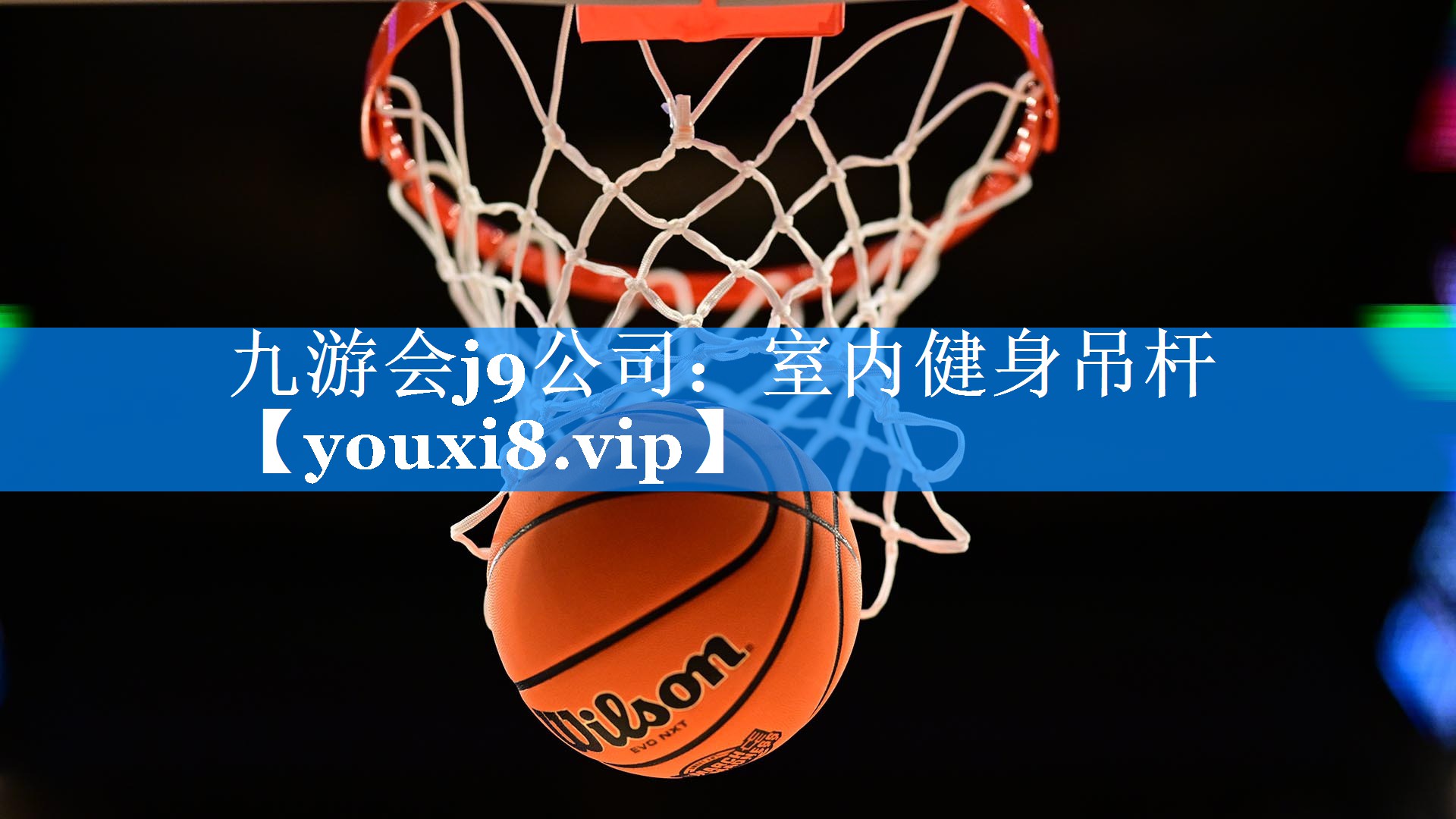 九游会j9公司：室内健身吊杆