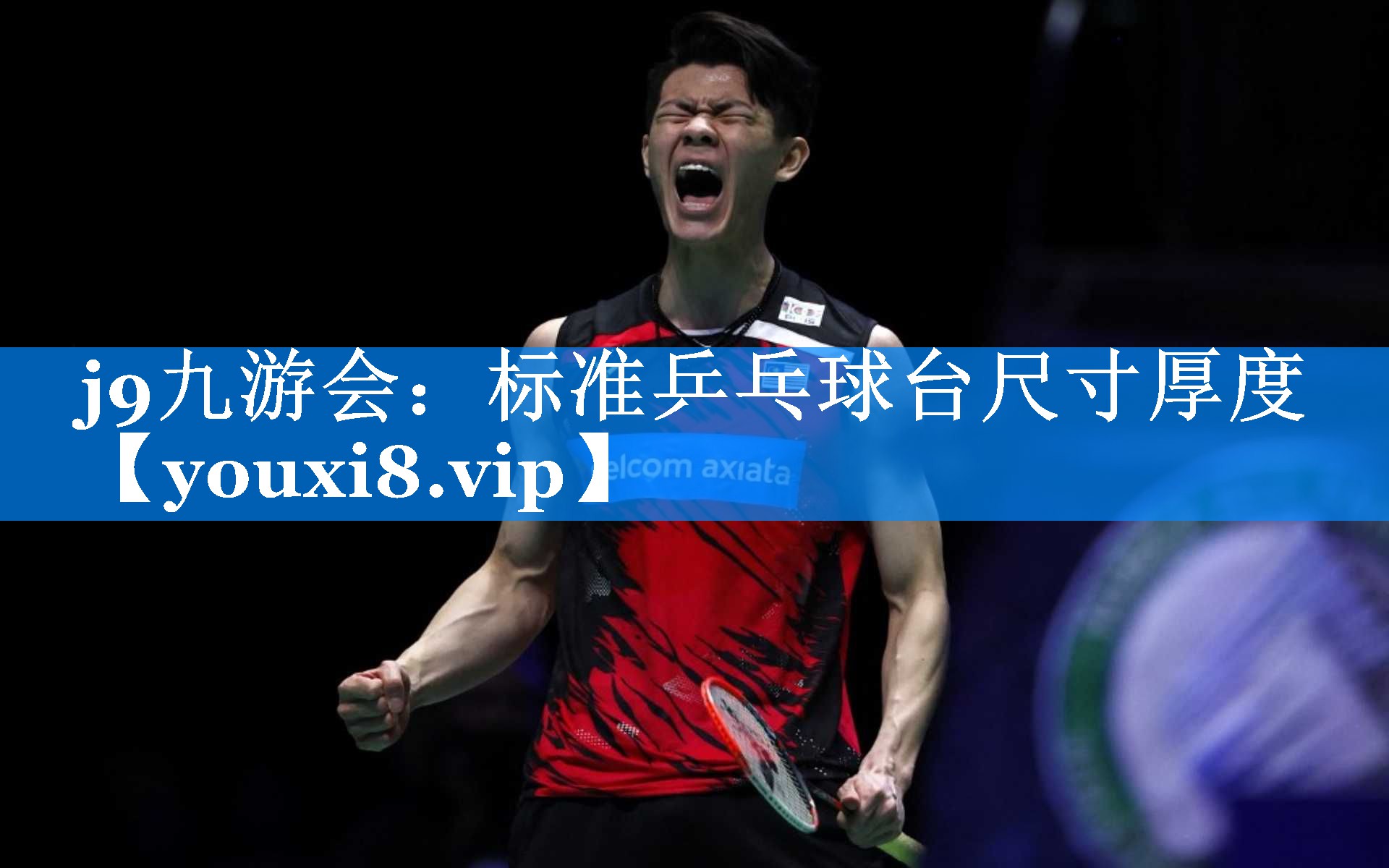 标准乒乓球台尺寸厚度